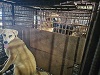 전북말산업복합센터_445471202300419