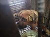 전북말산업복합센터_445471202300418