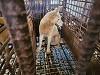 전북말산업복합센터_445471202300407