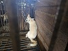 전북말산업복합센터_445471202300393
