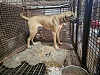 전북말산업복합센터_445471202300470