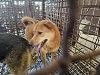 전북말산업복합센터_445471202300451