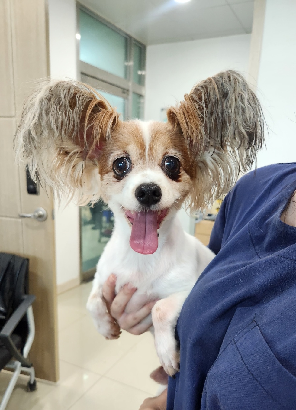 반려동물보호센터_443571202301921