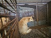 전북말산업복합센터_445471202300465
