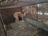 전북말산업복합센터_445471202300438