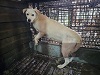 전북말산업복합센터_445471202300436
