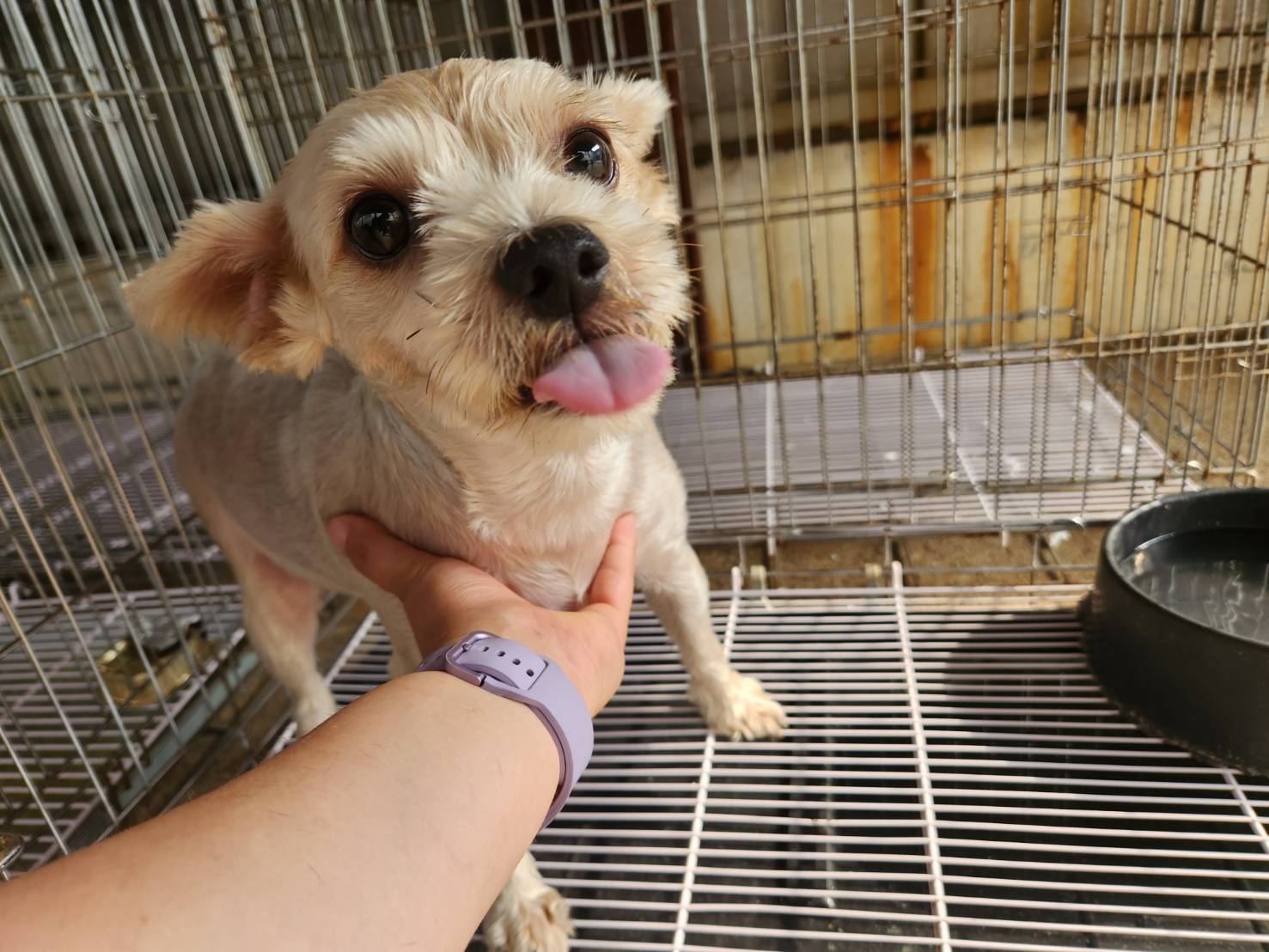 한국야생동물보호협회_441393202301386
