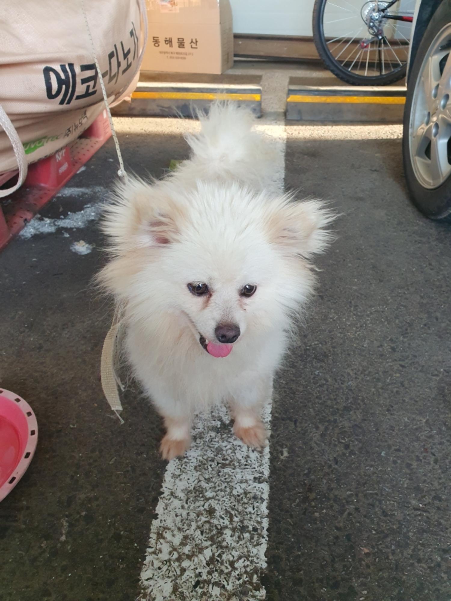 최종주동물병원_443444202300414