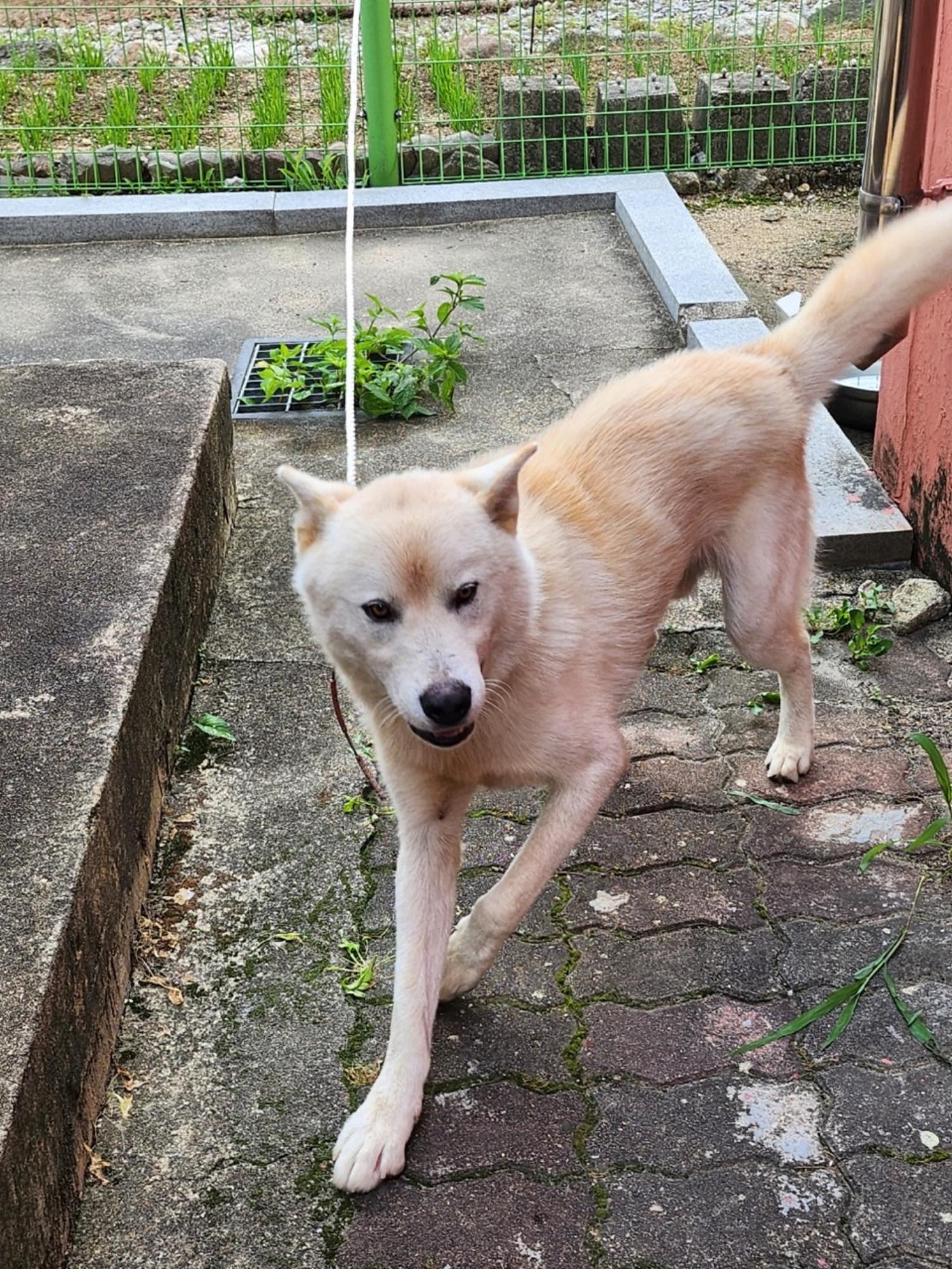 영주시 동물보호센터_447509202300153