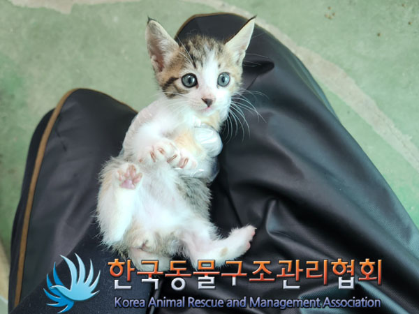 한국동물구조관리협회_441560202300951