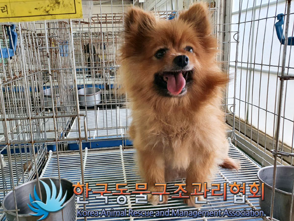 한국동물구조관리협회_441392202300164