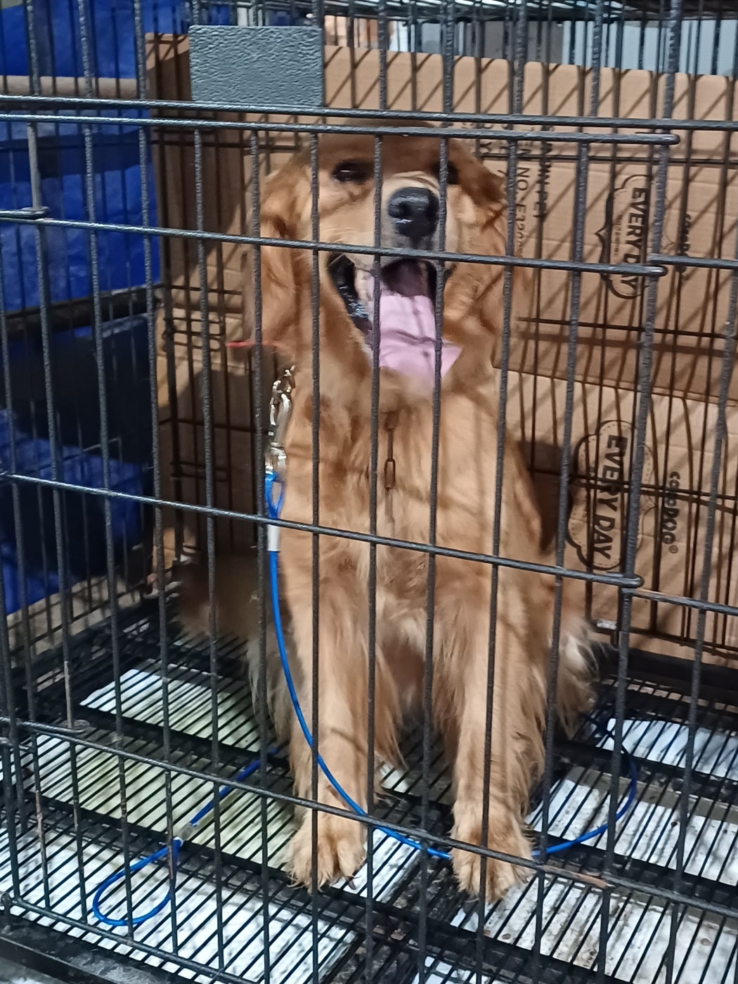 정읍시 동물보호소_445469202300973