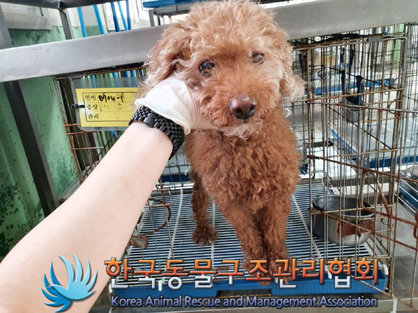 한국동물구조관리협회_411310202300346