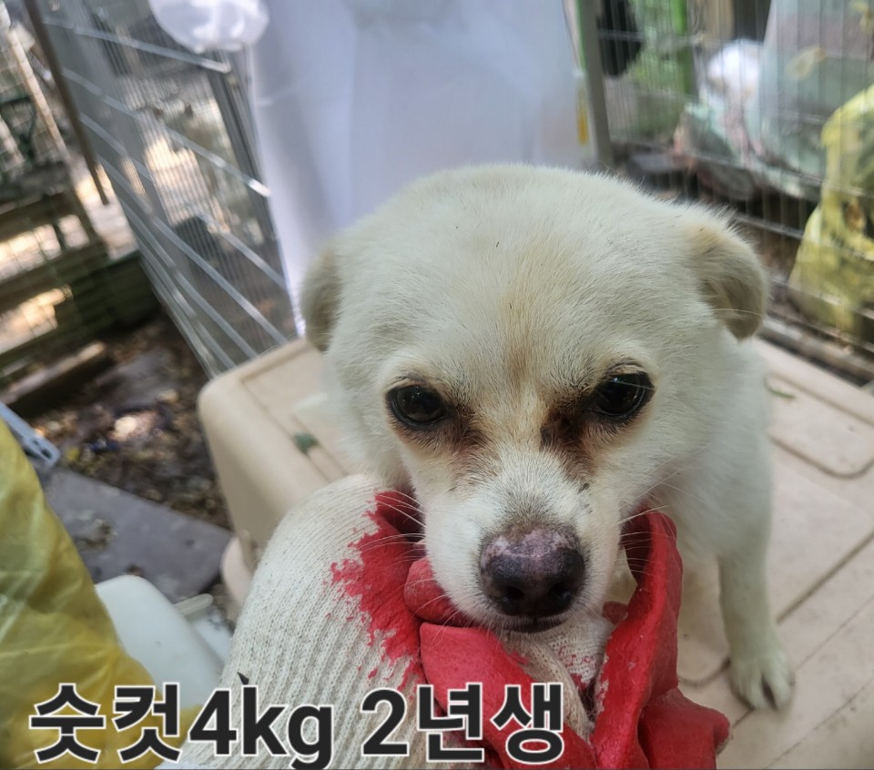 완주군유기동물보호소_445472202300309