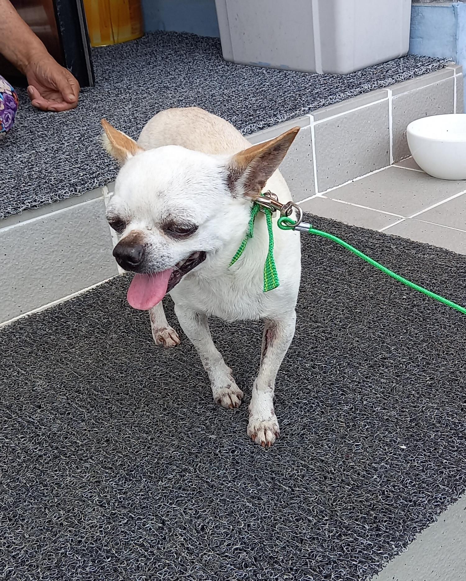 금일동물보호센터_444460202300669