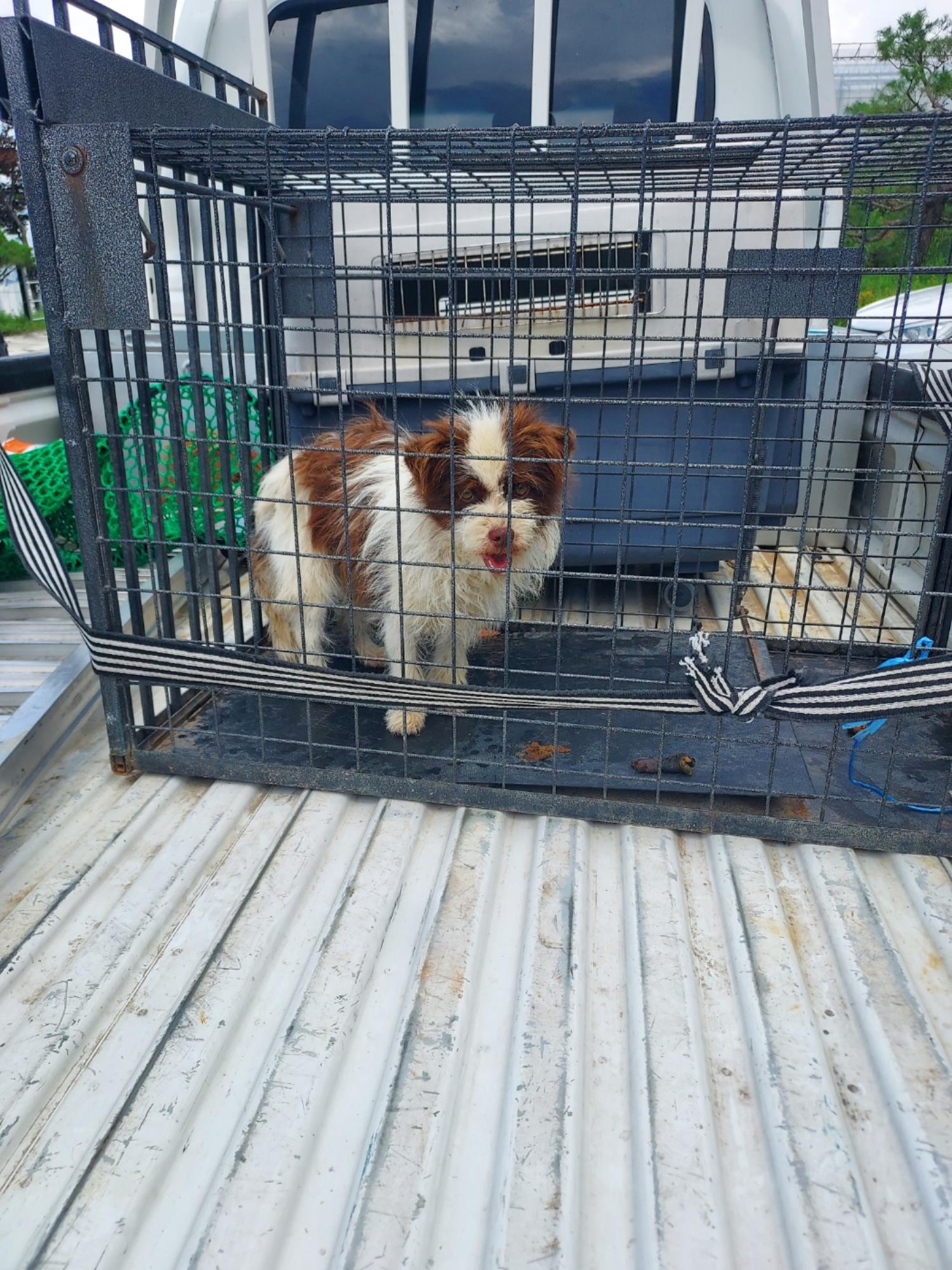 함양군위탁보호소_448546202300305