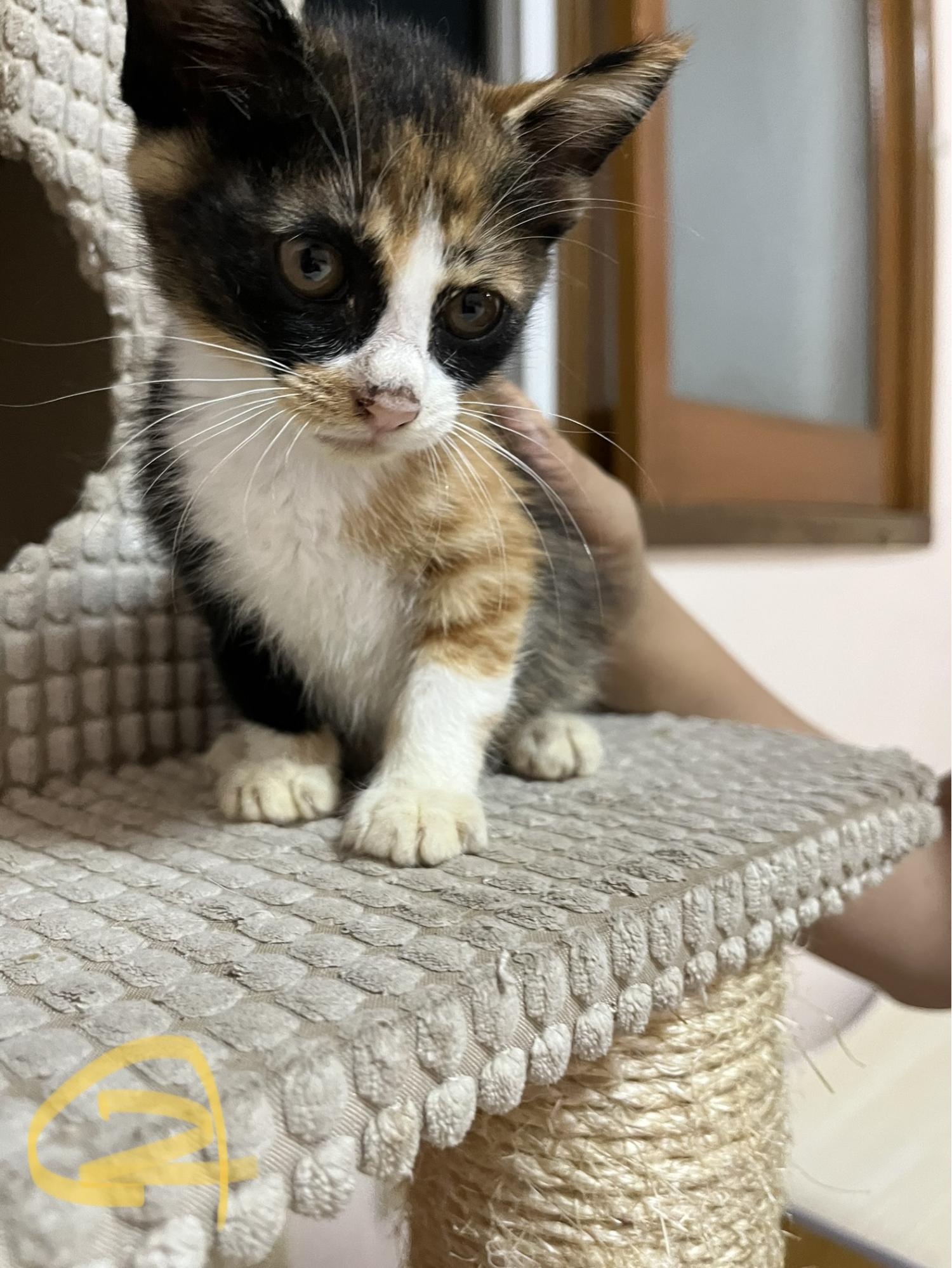 성주유기동물보호센터_447521202300261