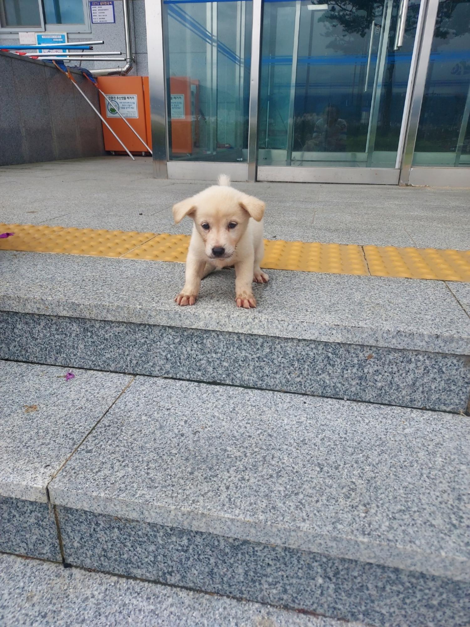 함양군위탁보호소_448546202300300