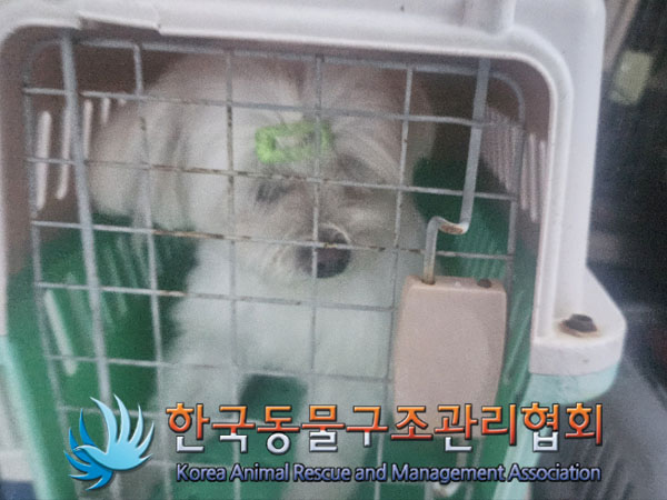 한국동물구조관리협회_411307202300290