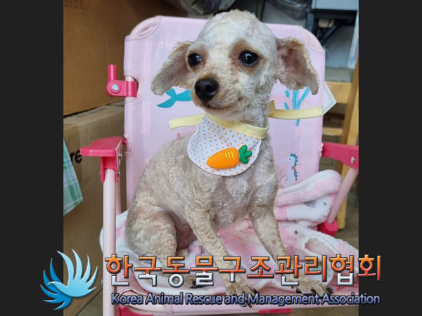 한국동물구조관리협회_411317202300208