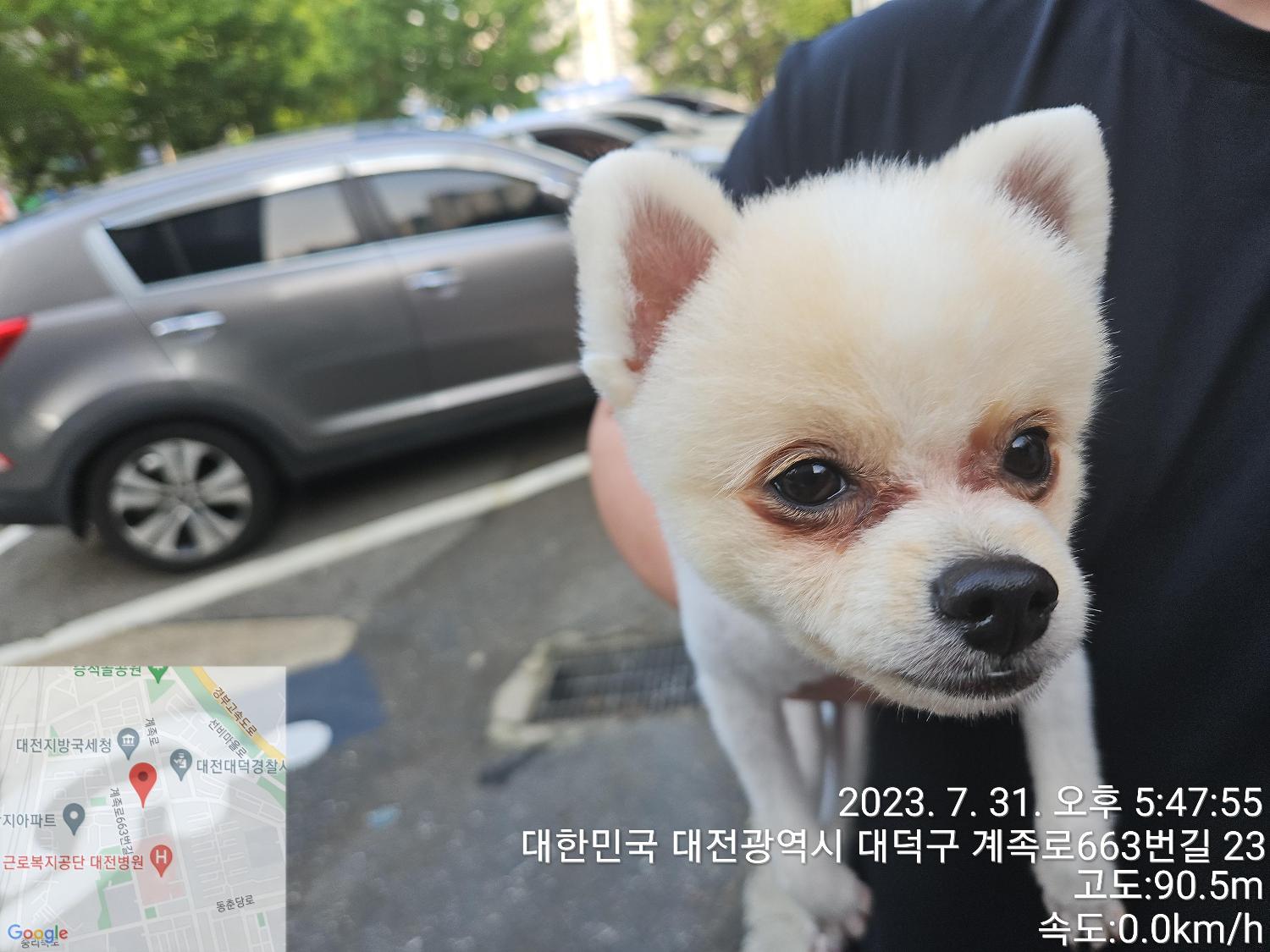 대전동물보호센터_430368202300382