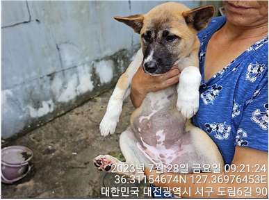 대전동물보호센터_430366202300465