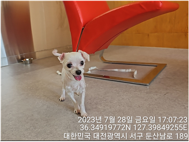 대전동물보호센터_430366202300467