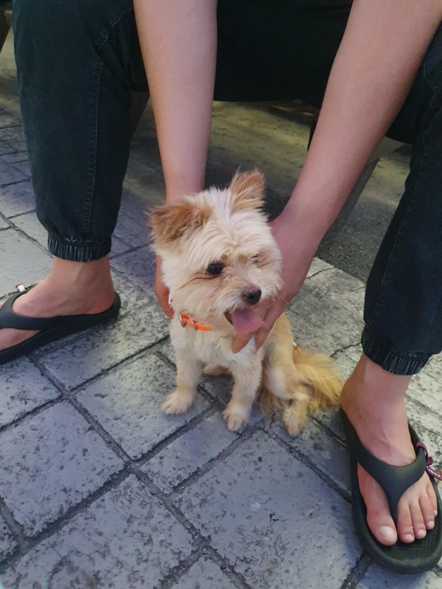 최종주동물병원_443444202300415