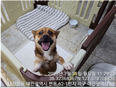 대전동물보호센터_430366202300469