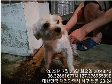 대전동물보호센터_430366202300463