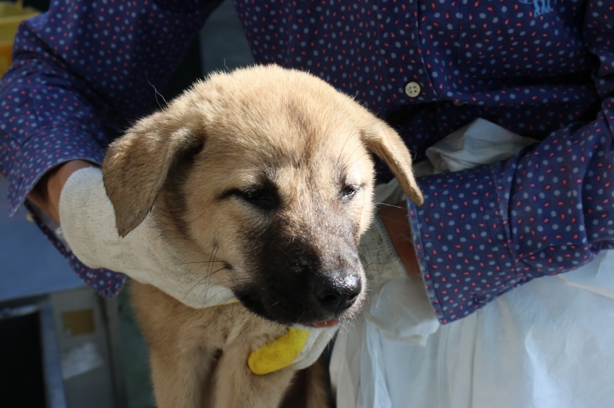 제주 동물보호센터_450650202302661