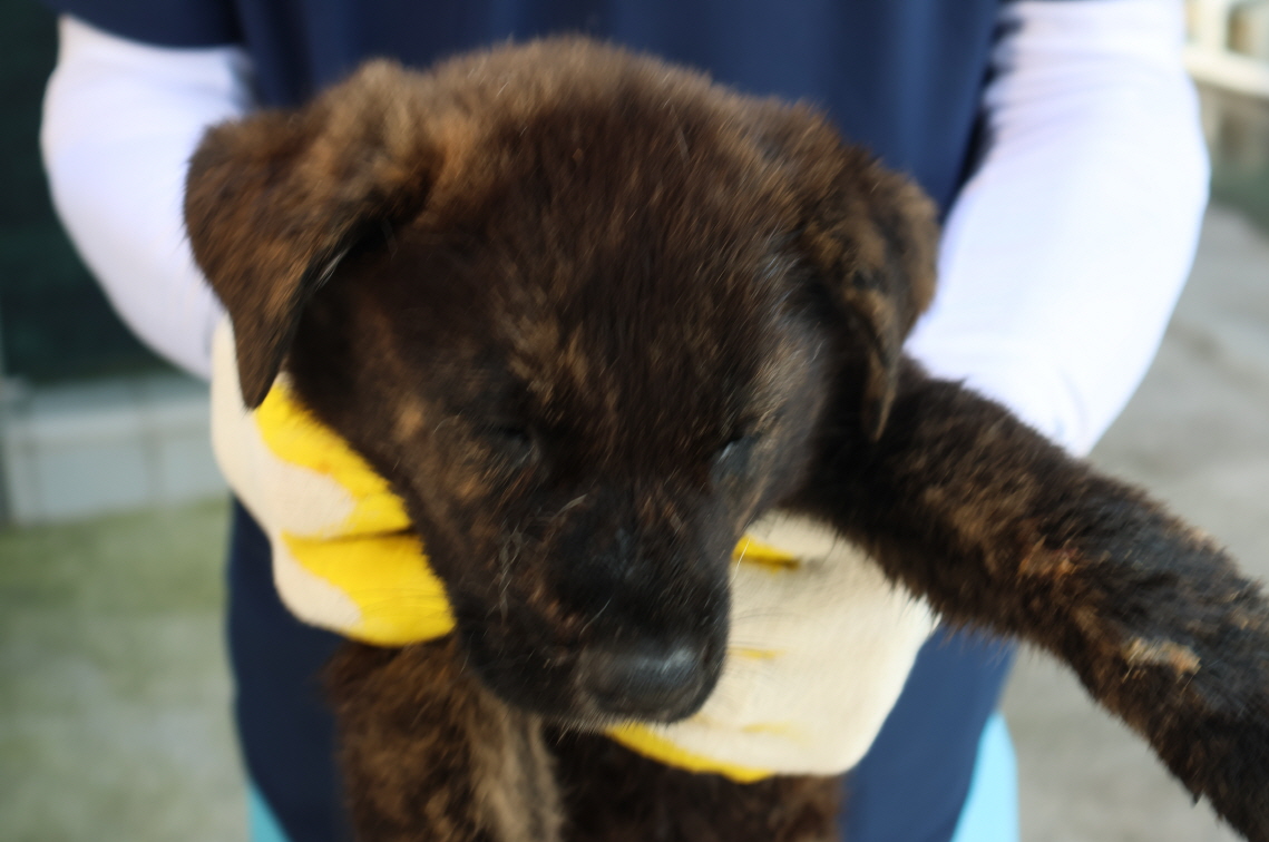 제주 동물보호센터_450650202302674