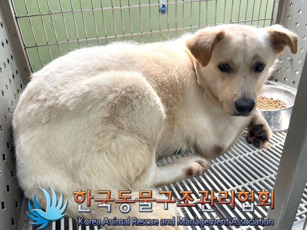 한국동물구조관리협회_441392202300166