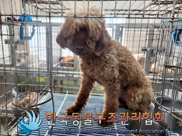 한국동물구조관리협회_441560202300957