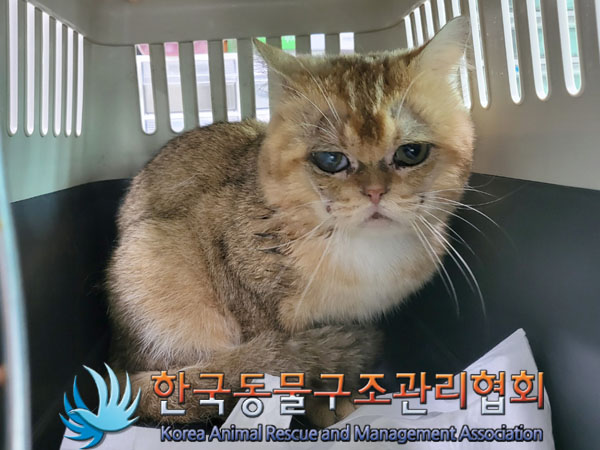 한국동물구조관리협회_441406202301125