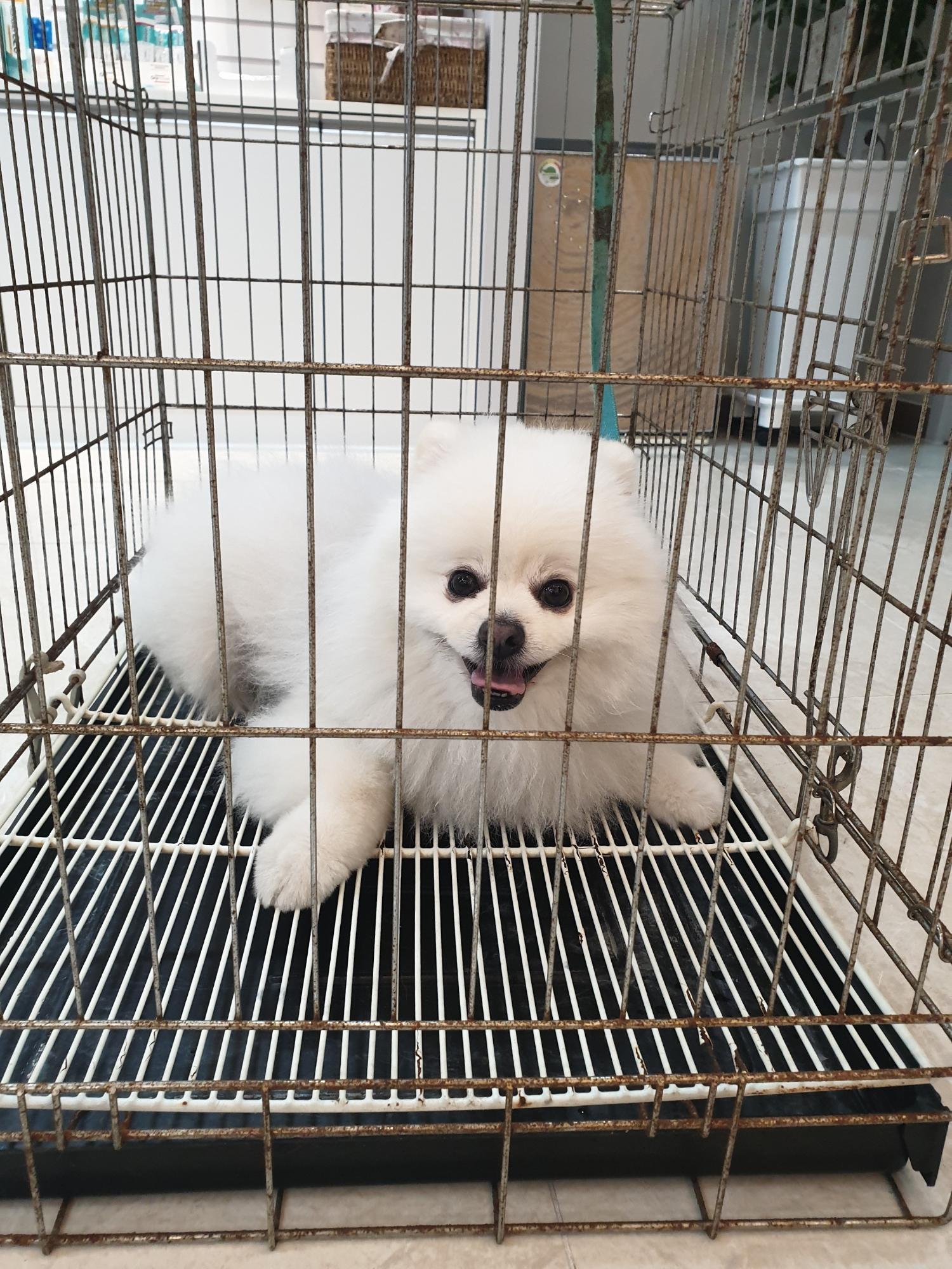 대구시수의사회(평리)_427343202300643