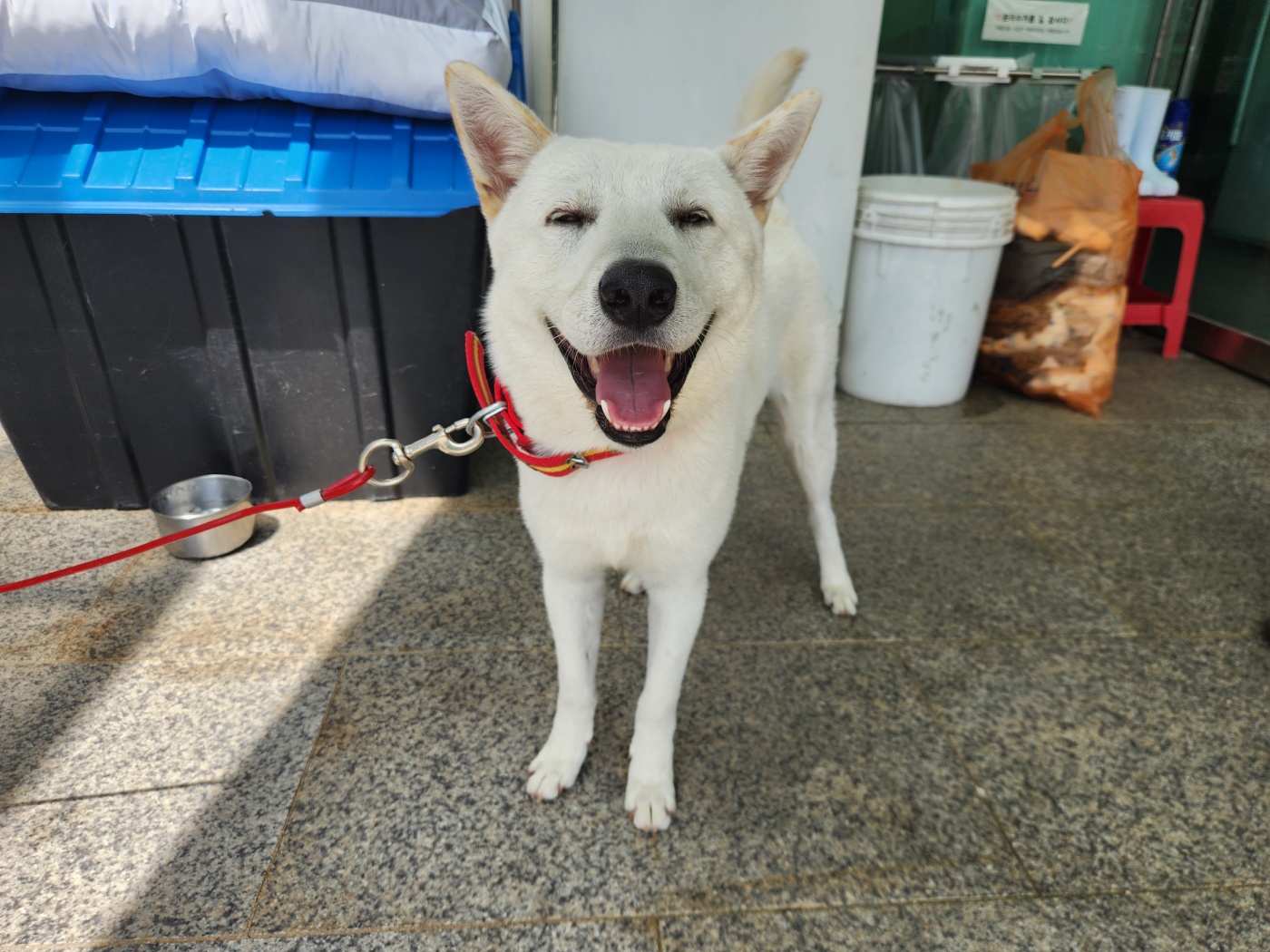광주 동물보호소_429361202300337