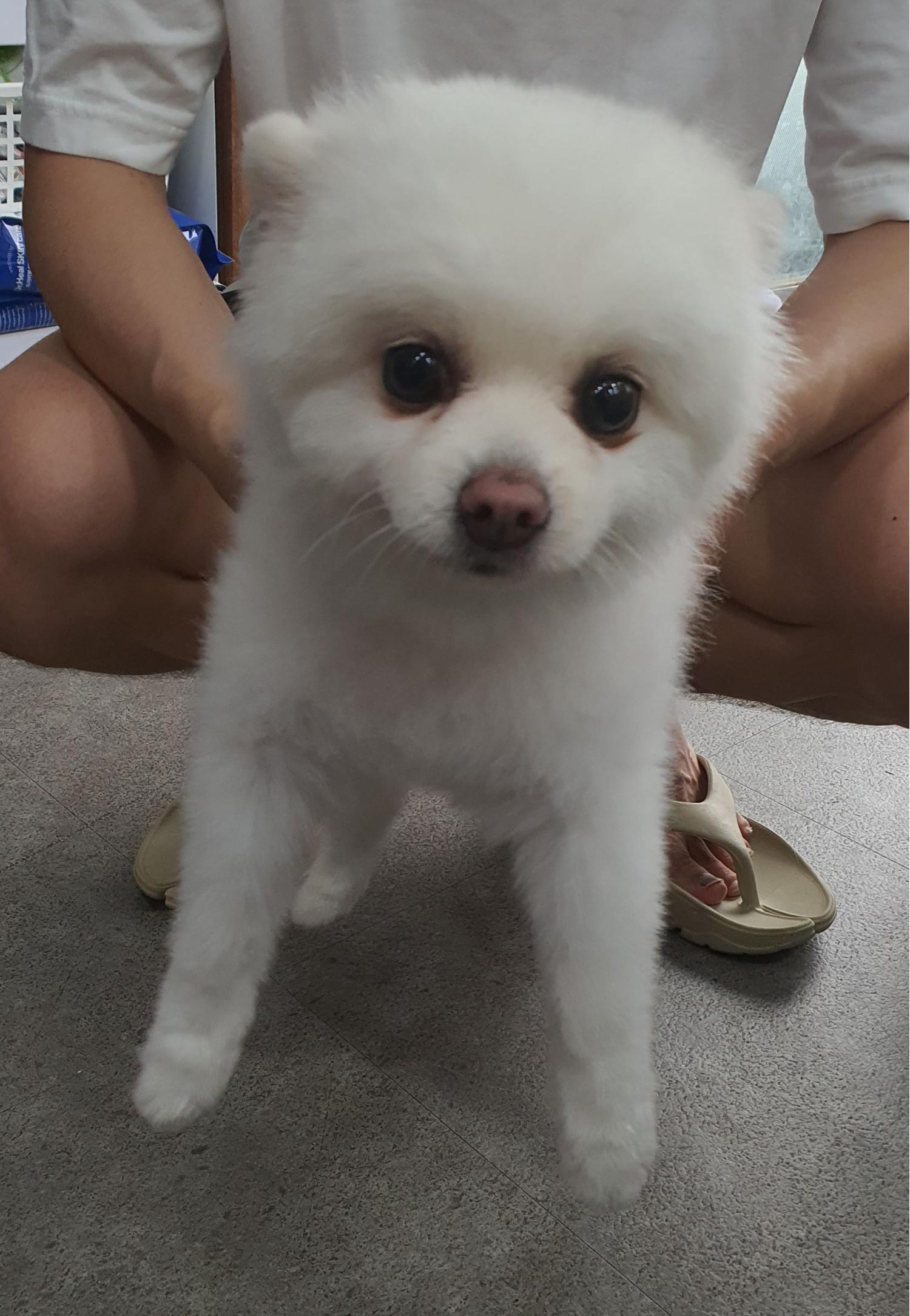 베스트동물병원_428357202300694