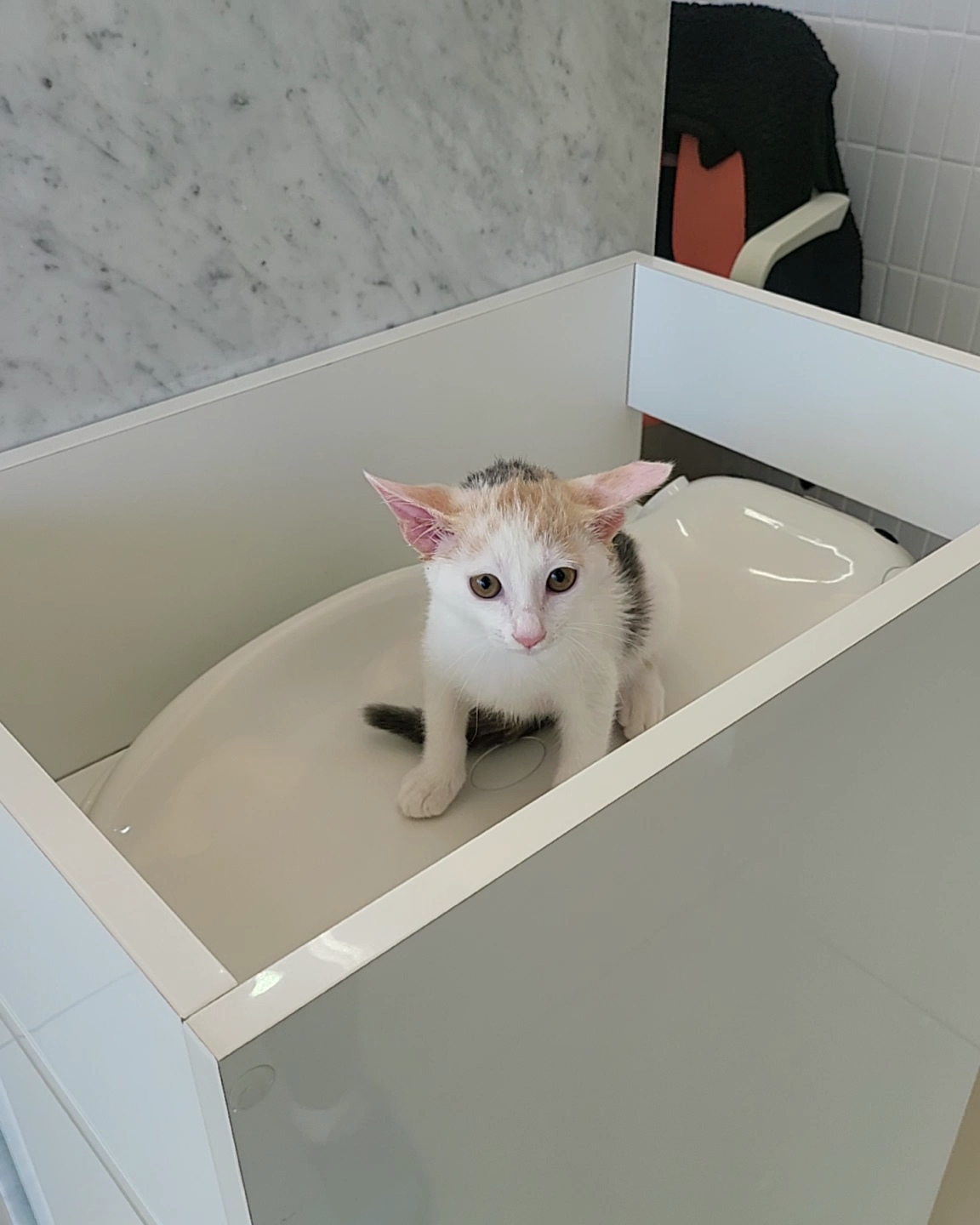 익산유기동물보호소_445468202301549