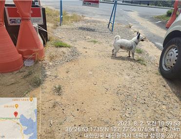 대전동물보호센터_430368202300383