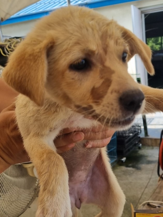 밀양시동물보호센터_448536202301679