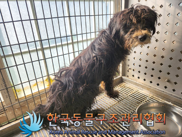 한국동물구조관리협회_441414202300575