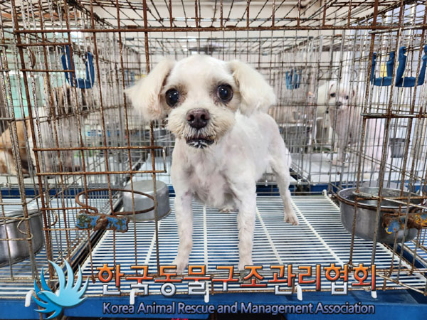 한국동물구조관리협회_441414202300573
