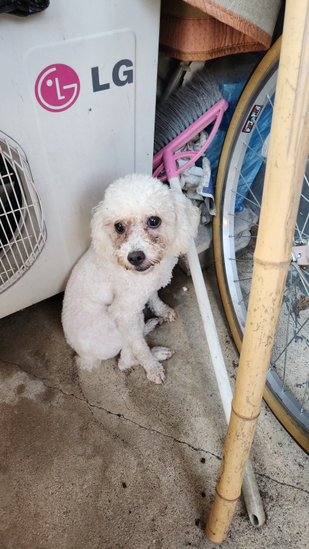 익산유기동물보호소_445468202301551