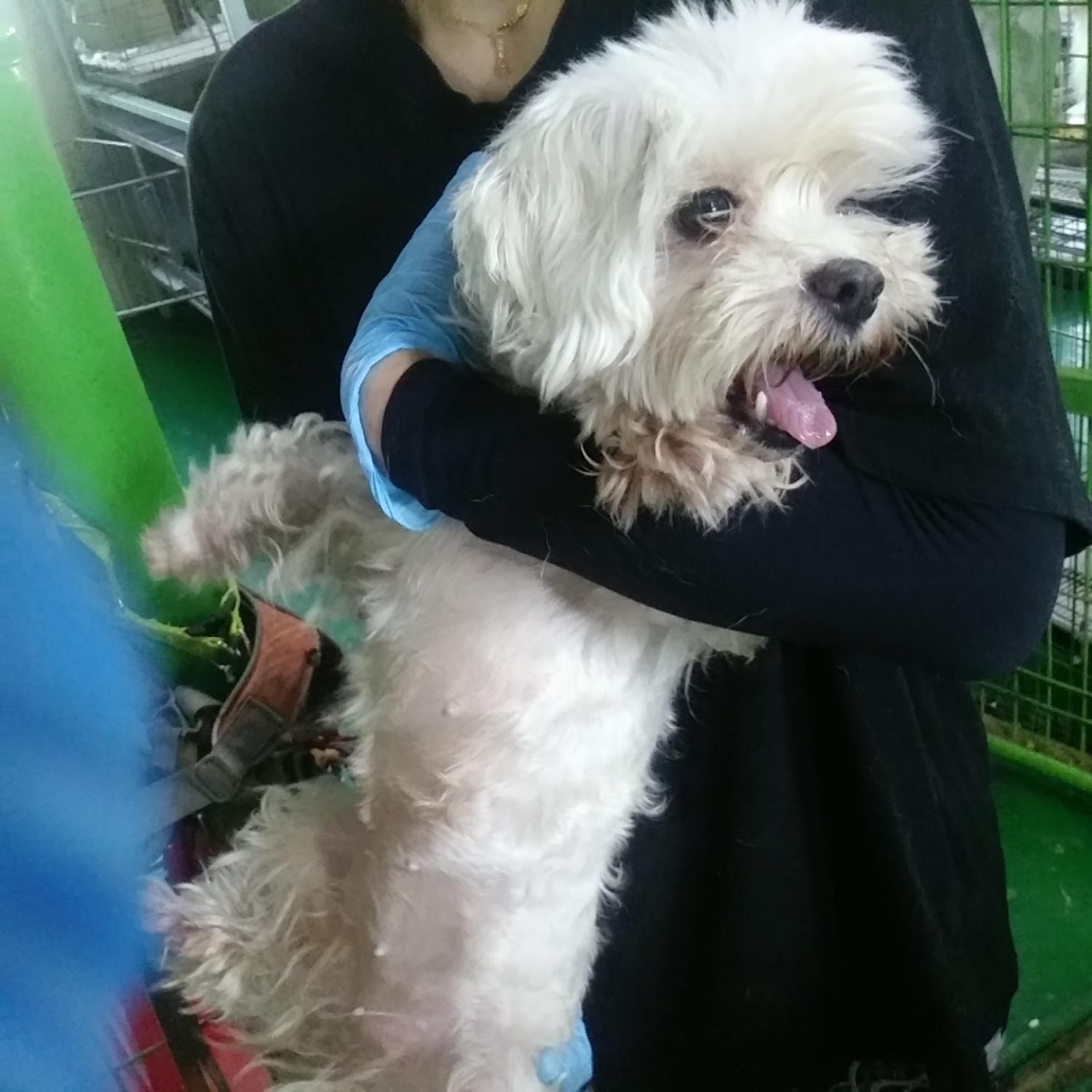 인천광역시수의사회_428351202300613
