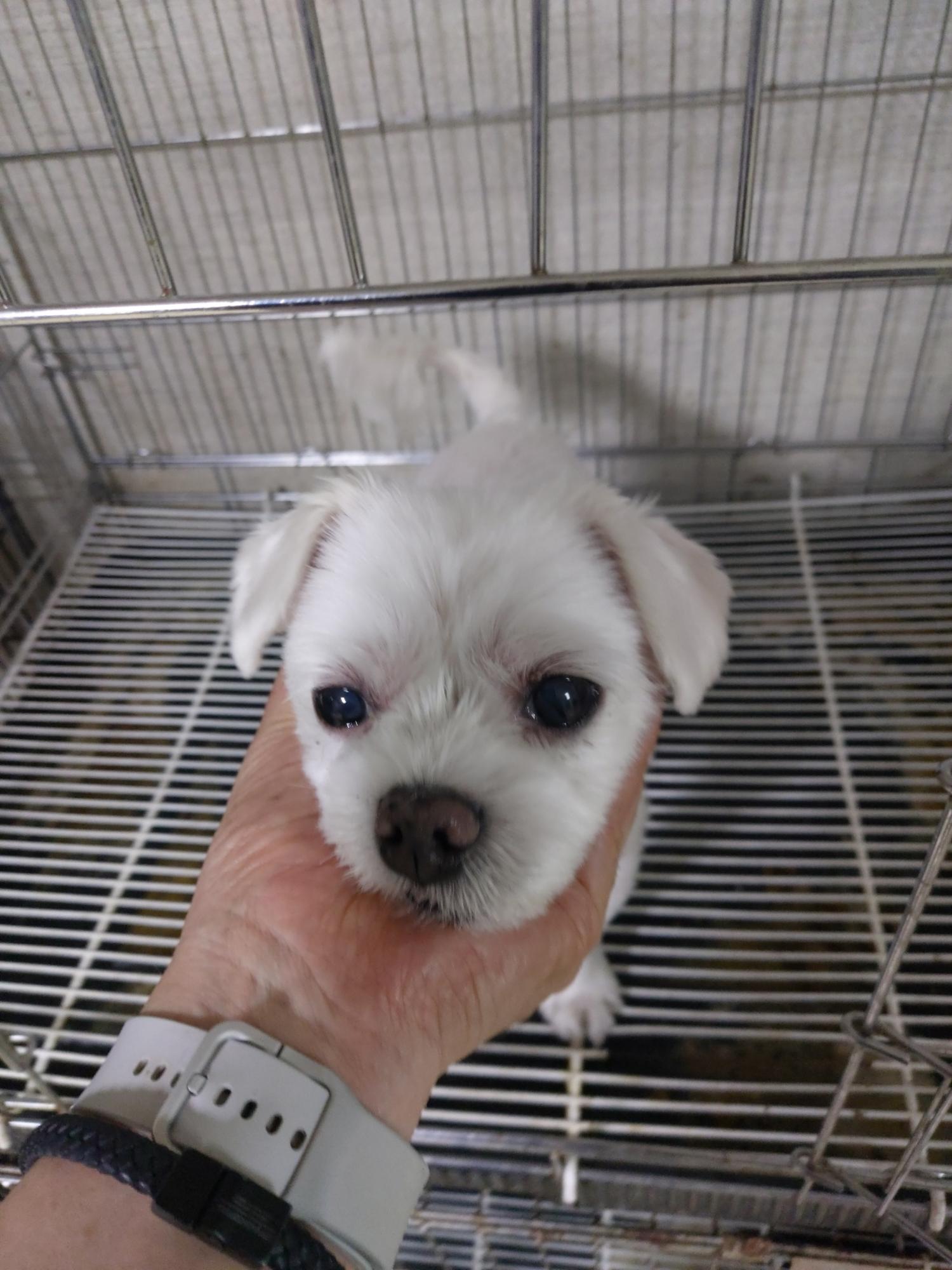 우리동물병원_428356202301259