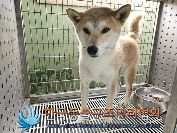 한국동물구조관리협회_441409202301258