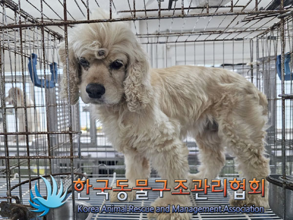 한국동물구조관리협회_441560202300959