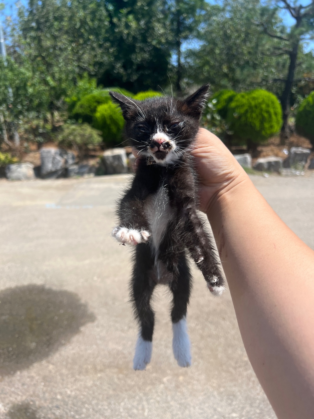 부산동물보호센터_426332202300416