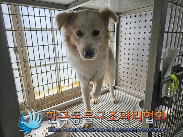 한국동물구조관리협회_441559202300825